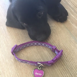 Meet your Posher, Catherine